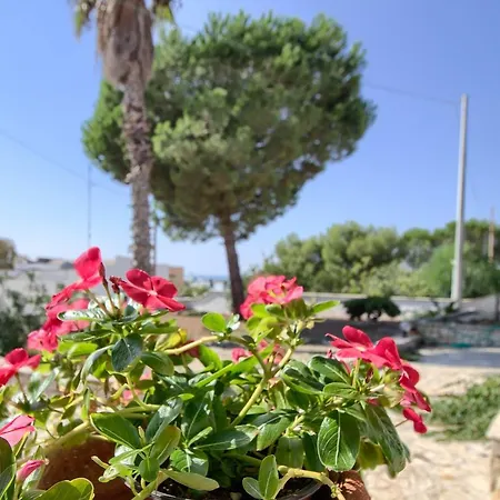 بيت للعطل Helia *